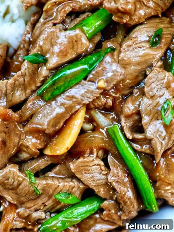 Beef and Onion Stir Fry