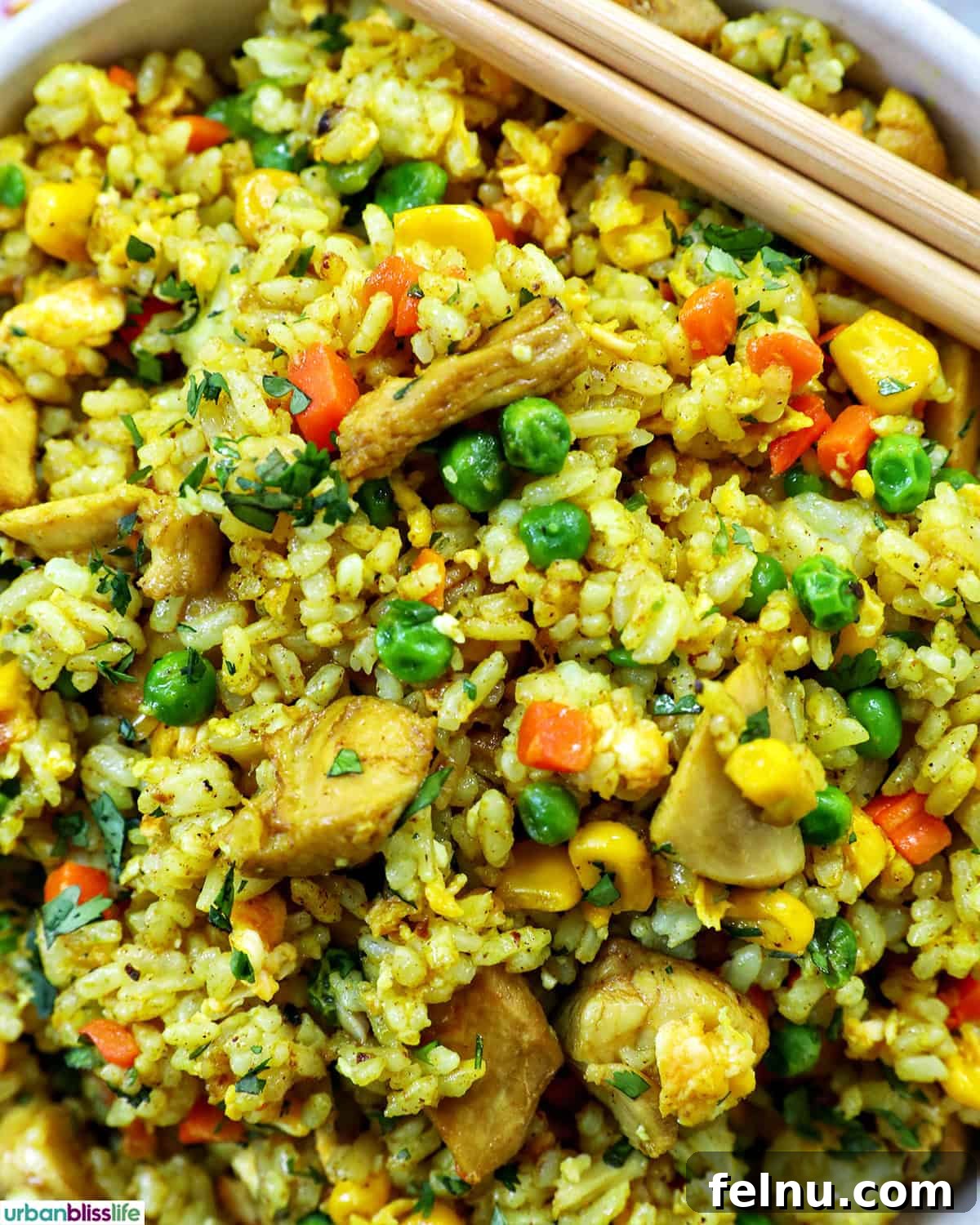 Curried Chicken Fried Rice 3 Close-up shot of Curry Chicken Fried Rice in a bowl.