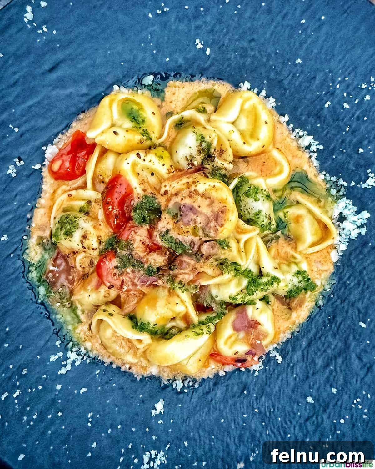 Montpellier's Gastronomic Guide: Where to Indulge in French Flavors 16 Perfectly crafted tortellini, served in a rich sauce, a specialty at Casa di Giorgio.