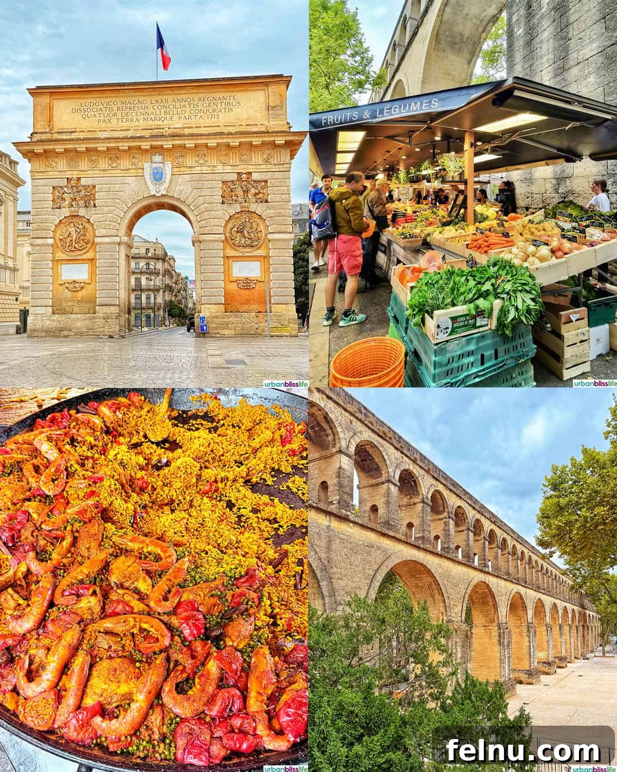 Montpellier's Gastronomic Guide: Where to Indulge in French Flavors 3 Scenic views of Montpellier's Porte du Peyrou, historic aqueduct, and vibrant local market.