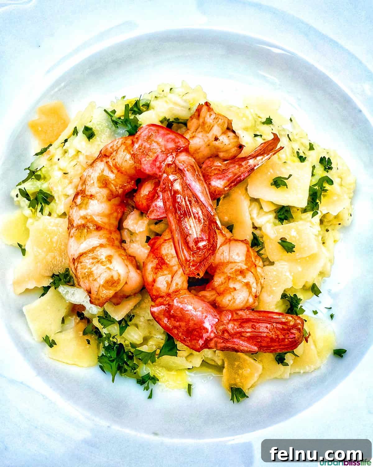 Montpellier's Gastronomic Guide: Where to Indulge in French Flavors 23 Creamy prawn risotto, a rich and satisfying main course at Pinocchio Restaurant.