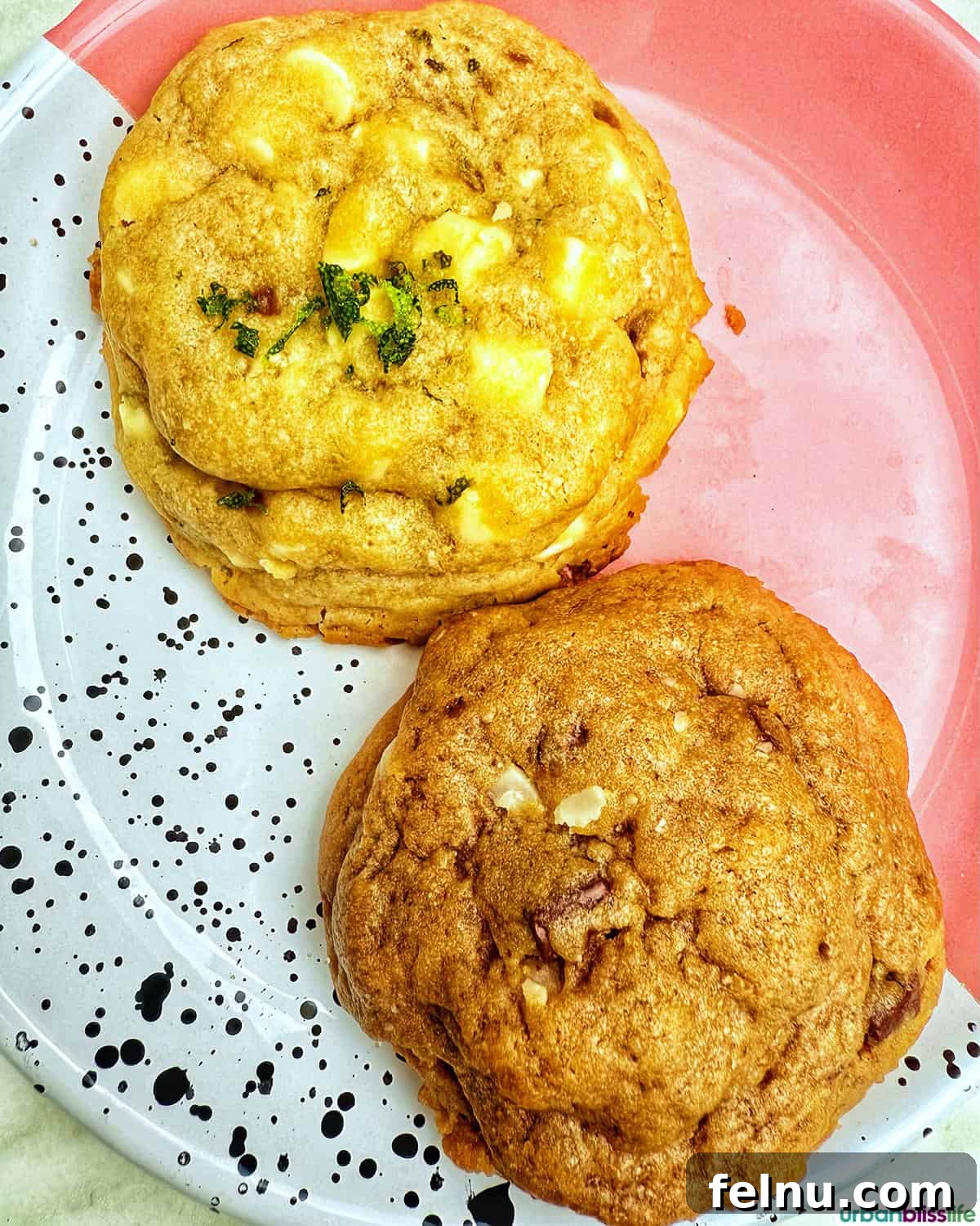 Montpellier's Gastronomic Guide: Where to Indulge in French Flavors 26 A delectable spread of macadamia and classic chocolate chip cookies from Flour Cookiserie.