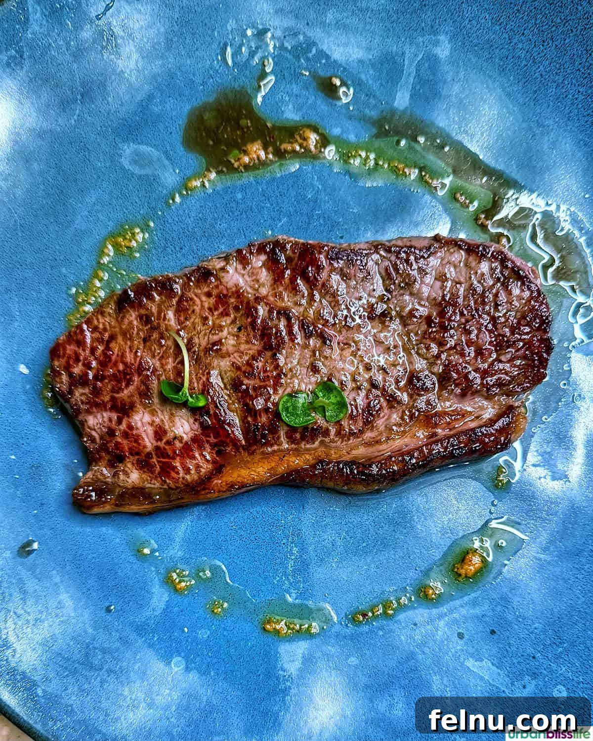 Montpellier's Gastronomic Guide: Where to Indulge in French Flavors 7 Close-up of a succulent bavette steak, beautifully seared and ready to be enjoyed.
