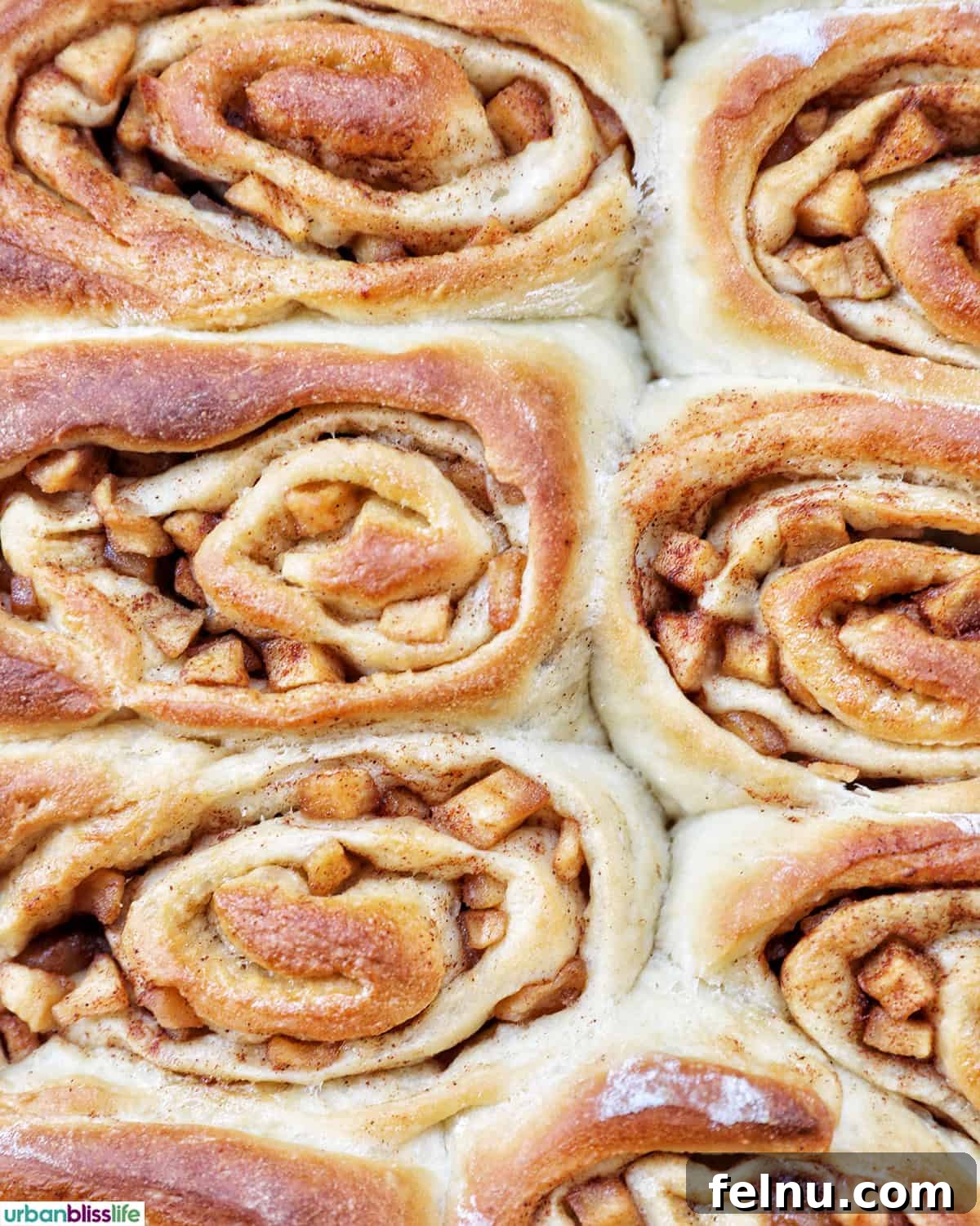 Baked, unfrosted apple pie cinnamon rolls, golden brown and fluffy.