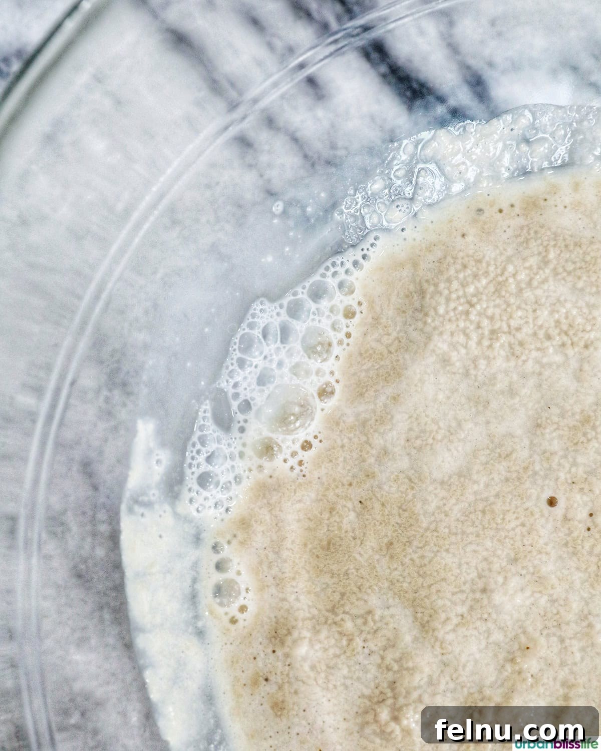 Yeast and warm milk activating in a bowl, preparing for dough.