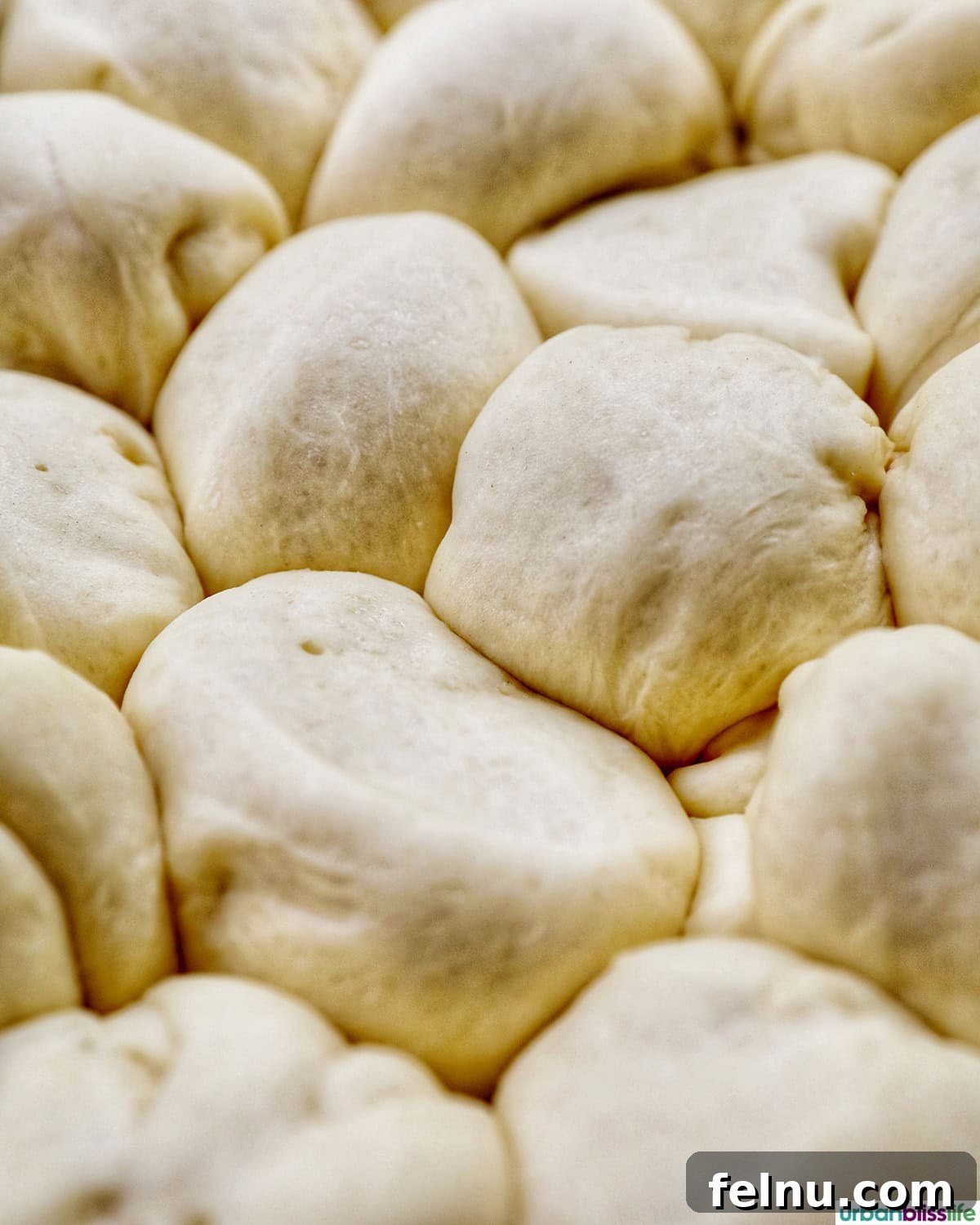 Rolls Ready to Bake