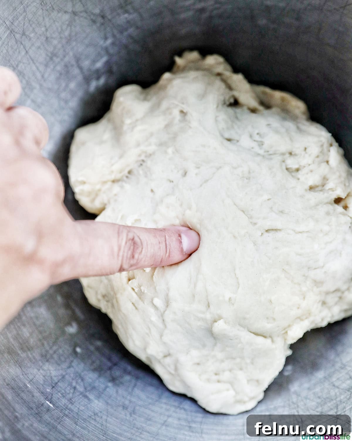 Testing Dough Elasticity