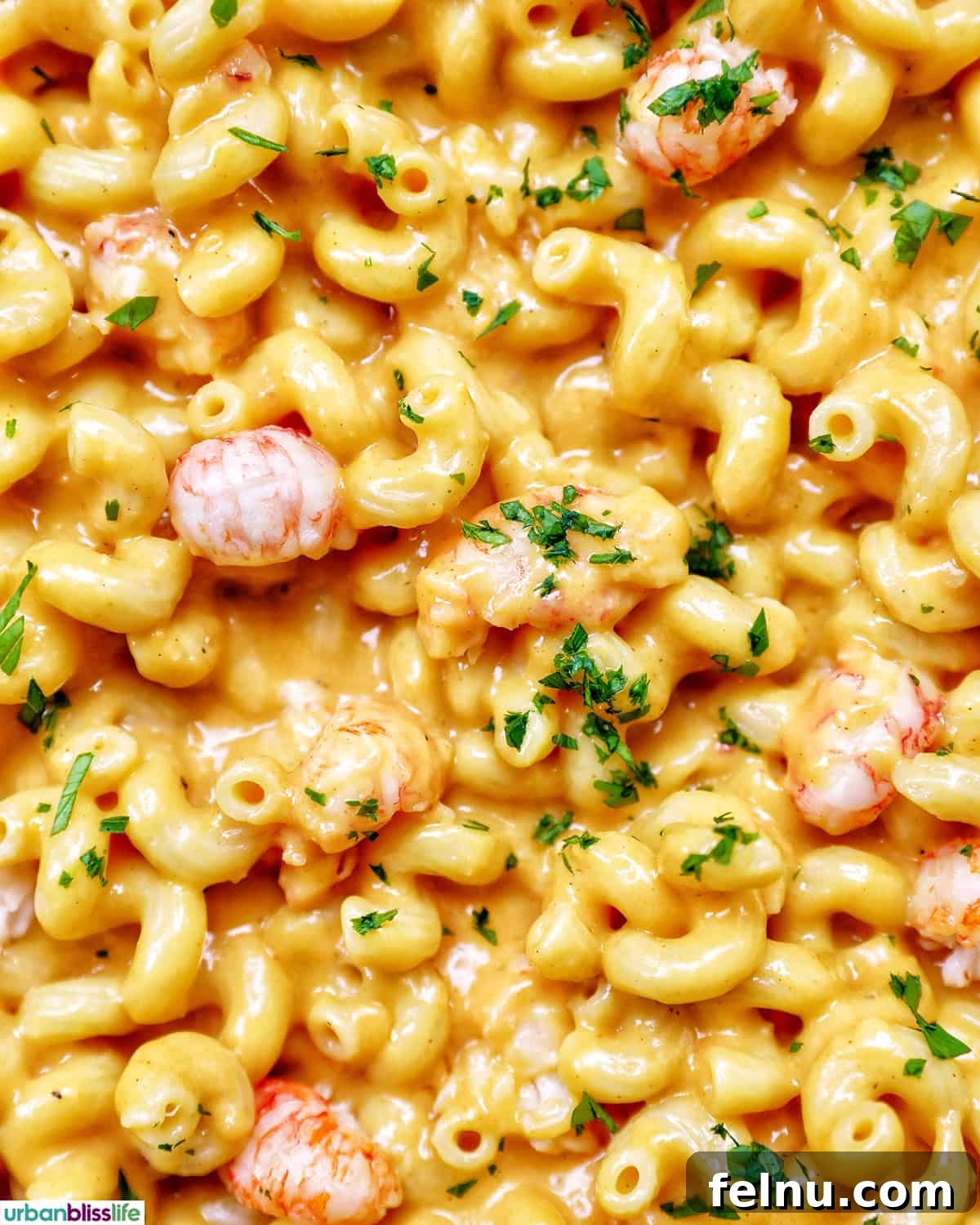 A tantalizing closeup shot of creamy lobster mac and cheese, showing melted cheese and visible pieces of lobster.