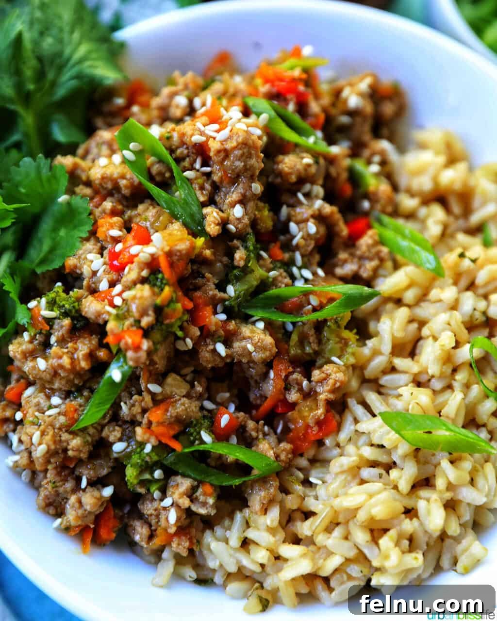 Budget-Friendly Recipes 8 A vibrant Ground Turkey Teriyaki brown rice bowl with green onions, broccoli, carrots, and red bell peppers, garnished with cilantro.