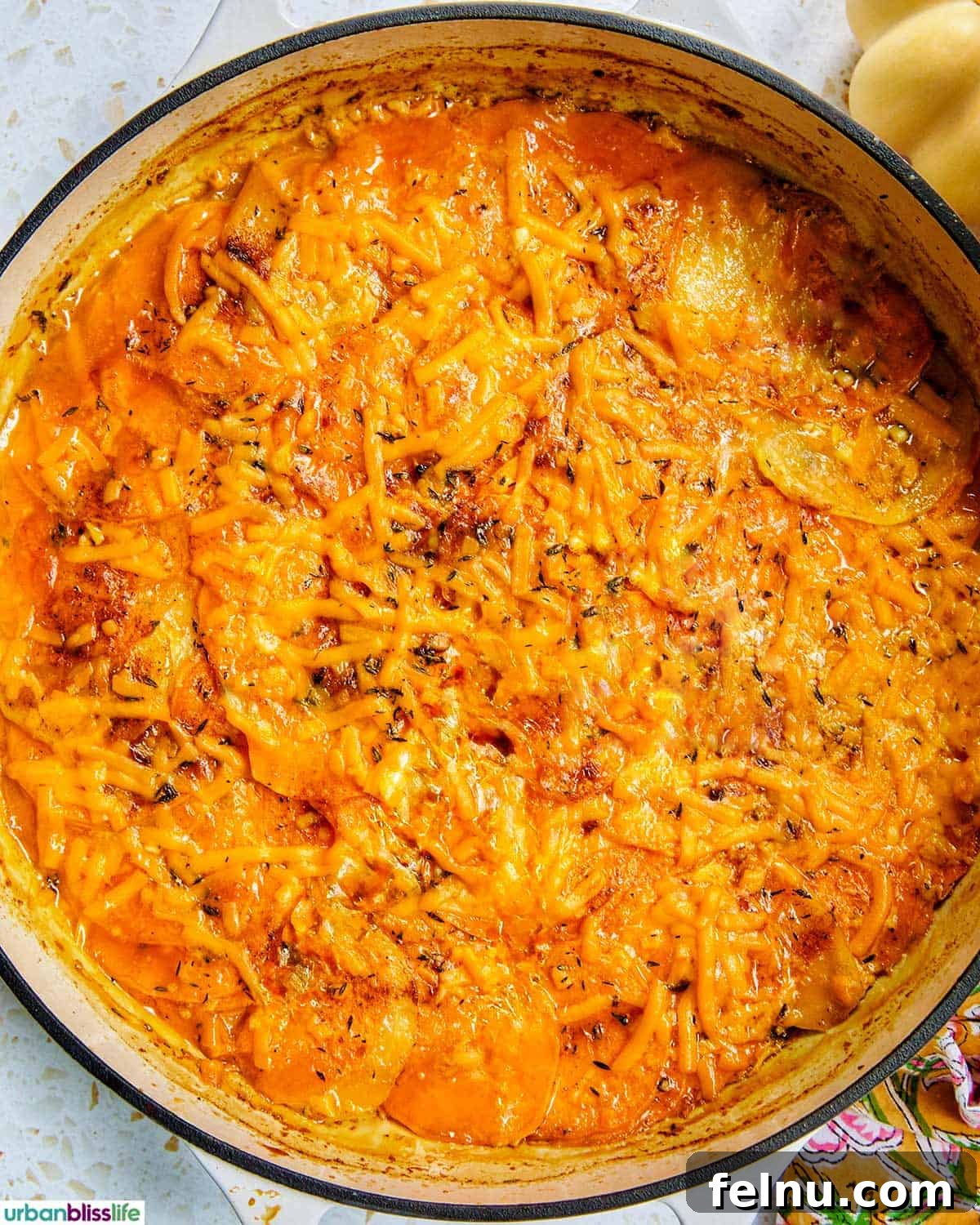 Sweet Potato Delight 2 Delicious Sweet Potato Gratin in a Baking Pan