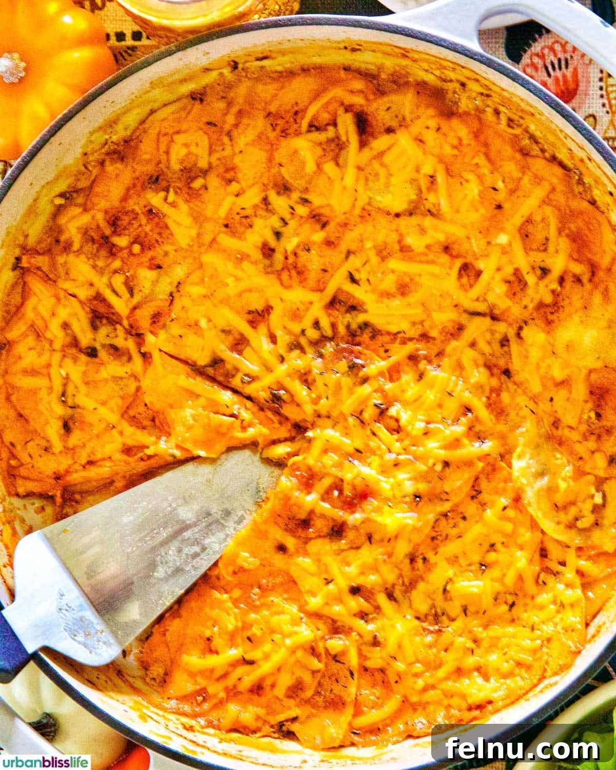Sweet Potato Delight 10 Finished Sweet Potato Gratin in a Pan