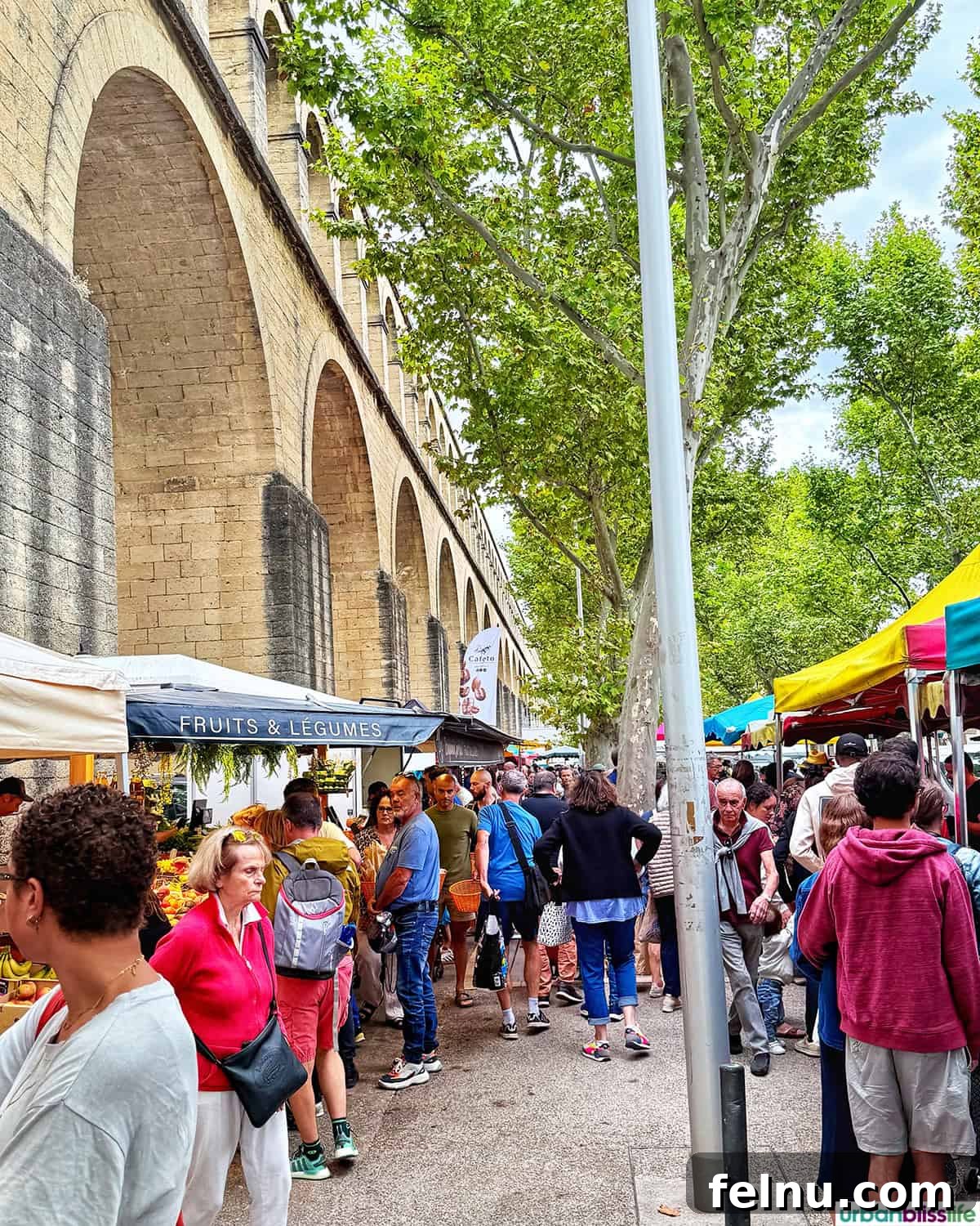 Montpellier Magic: Your Guide to a French Gem 11 Bustling Marché aux Arceaux in Montpellier, France, located beneath the historic aqueduct.