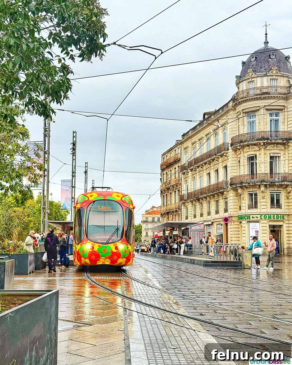 Montpellier Magic: Your Guide to a French Gem 15 Colorful tram passing through Place de la Comédie in Montpellier, France, showcasing the city's modern transport.