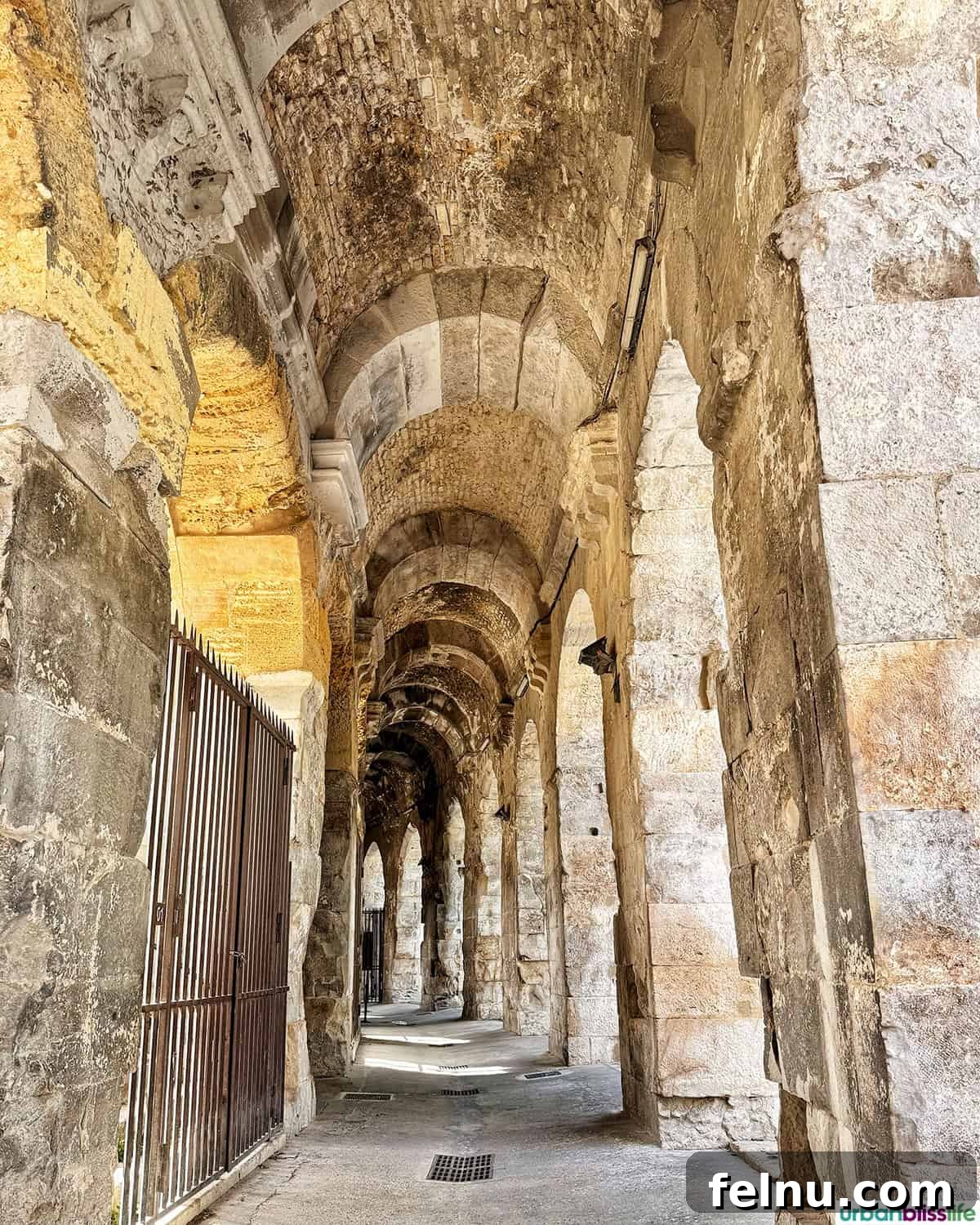 Montpellier Magic: Your Guide to a French Gem 23 Intricate arches of the Nîmes amphitheater, highlighting Roman architectural mastery.