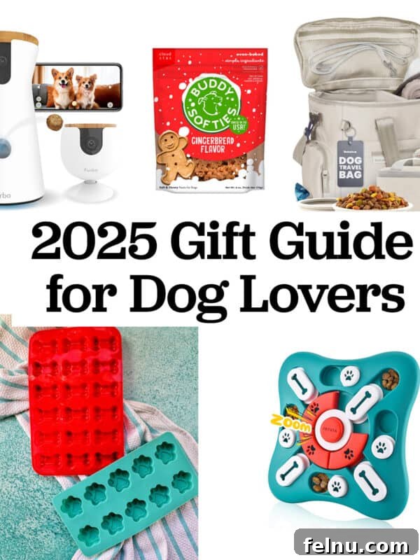 2025 Best Dog Gifts