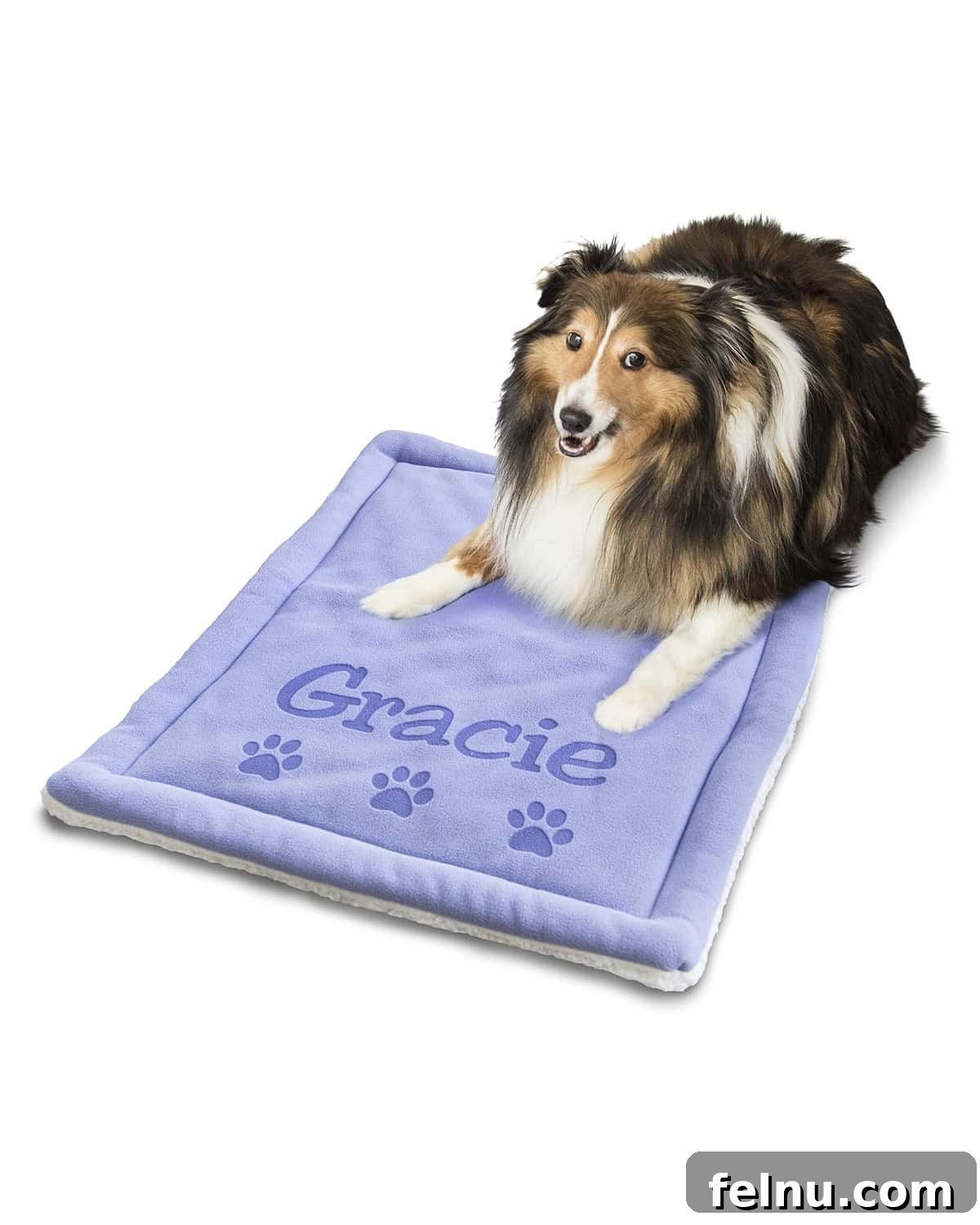 Top Dog Gifts for 2025 12 Custom dog mat is great for travel and bringing a piece of home with pup.