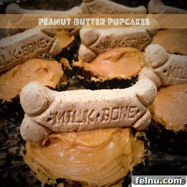Peanut Butter Pupcake Delight 6 Peanut Butter Pupcakes Recipe