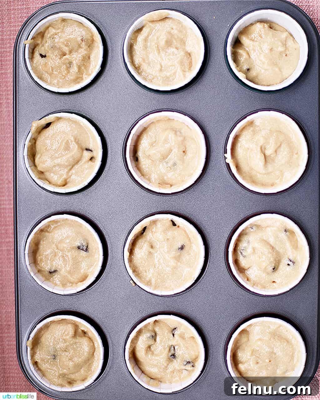 Chocolate Chip Cookie Dough Dream Cupcakes 11 Chocolate Chip Cupcakes ready to bake