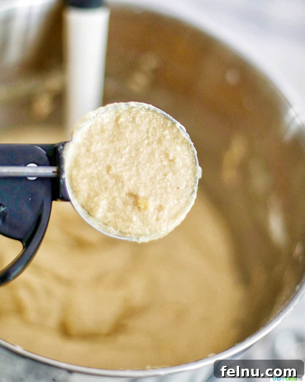 Chocolate Chip Cookie Dough Dream Cupcakes 10 Chocolate Chip Cupcake dough in scoop