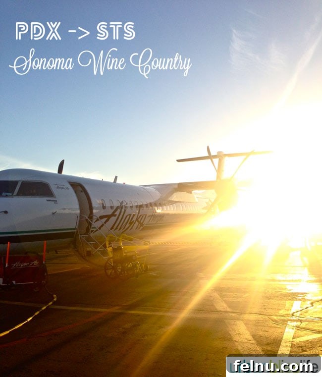 Sonoma Wine Country Explored: A Traveler's First Taste 4 Flying to Sonoma Wine Country