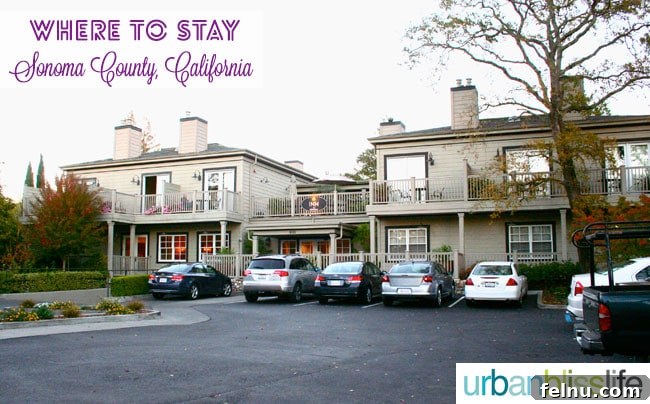 Sonoma Wine Country Explored: A Traveler's First Taste 6 Sonoma Hotel Recommendations