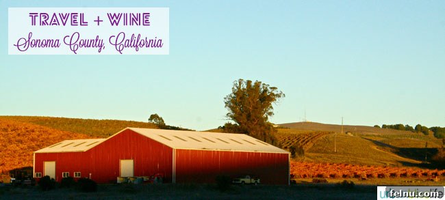 Sonoma Wine Country Explored: A Traveler's First Taste 10 Sonoma County Farms and Vineyards