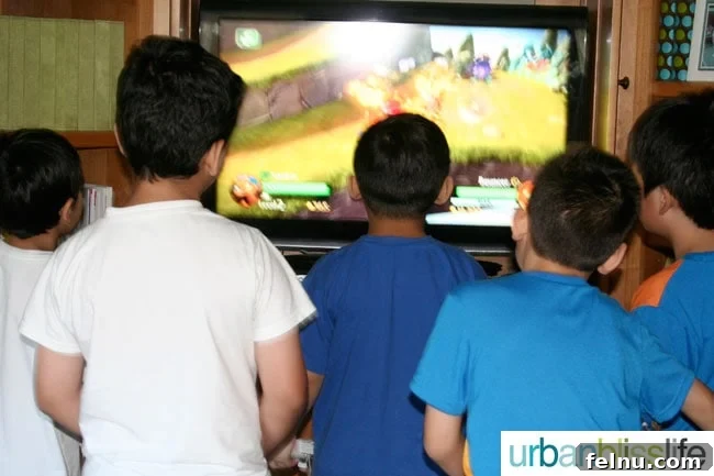 Skylanders Giants Boys Birthday Party Ideas Video Game