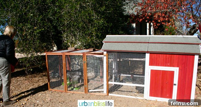 Inman Family Wines: A Sonoma Story 5 Chicken Coop at Inman Family Wines, Sonoma, California