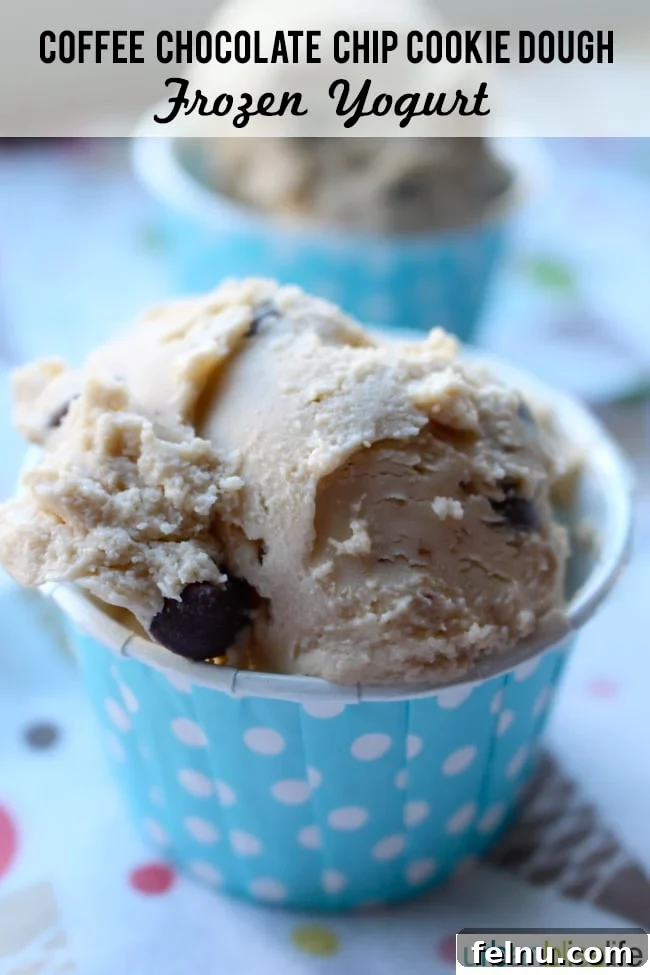 Java Chip Cookie Dough Swirl Frozen Yogurt 2 Coffee Chocolate Chip Cookie Dough Frozen Yogurt Recipe