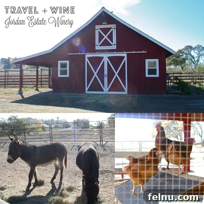 Jordan Winery: A Sonoma Legacy 7 red barn, donkeys, and chickens