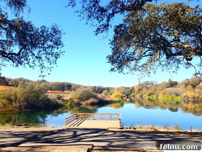 Jordan Winery: A Sonoma Legacy 10 Lake at Jordan Estate Winery