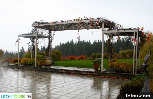 Hawks View Cellars: Unveiling New Flavors 5 Hawks View Cellars Tasting Room Outdoor Space