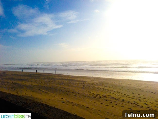Olivia Beach Homes Coastal Getaways in Lincoln City Oregon 2 Scenic Oregon Coastline in Lincoln City, Oregon