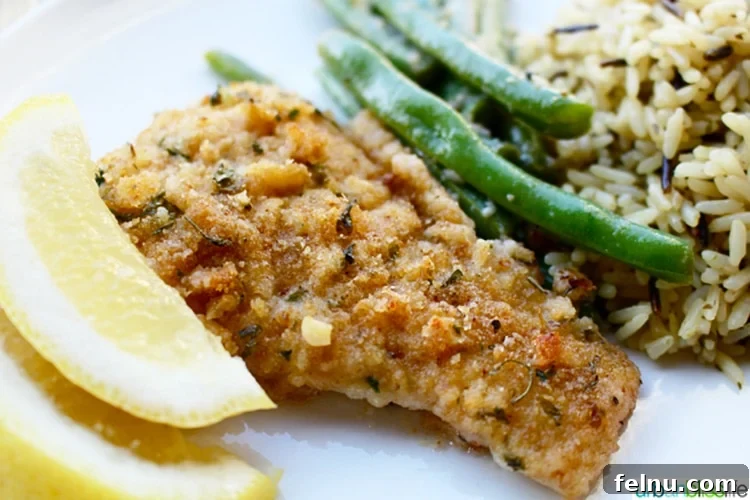 Golden Pan-Seared Cod with Bright Lemon-Wine Sauce 7 pan-fried cod with lemon & white wine with lemon slices, and rice.