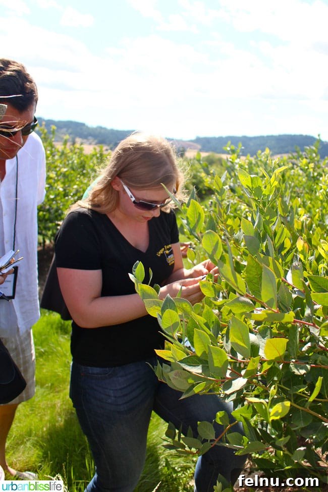 Laura Unger of Unger Farms - Sharing the farm's story