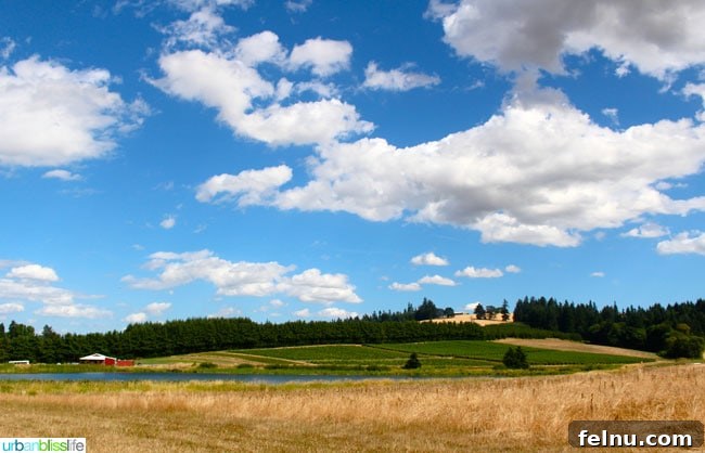 Scenic View of Unger Farms - A peaceful Oregon landscape