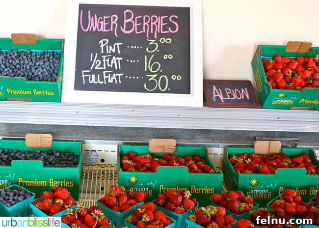 Fresh Berries at Unger Farms - A vibrant display of nature's bounty