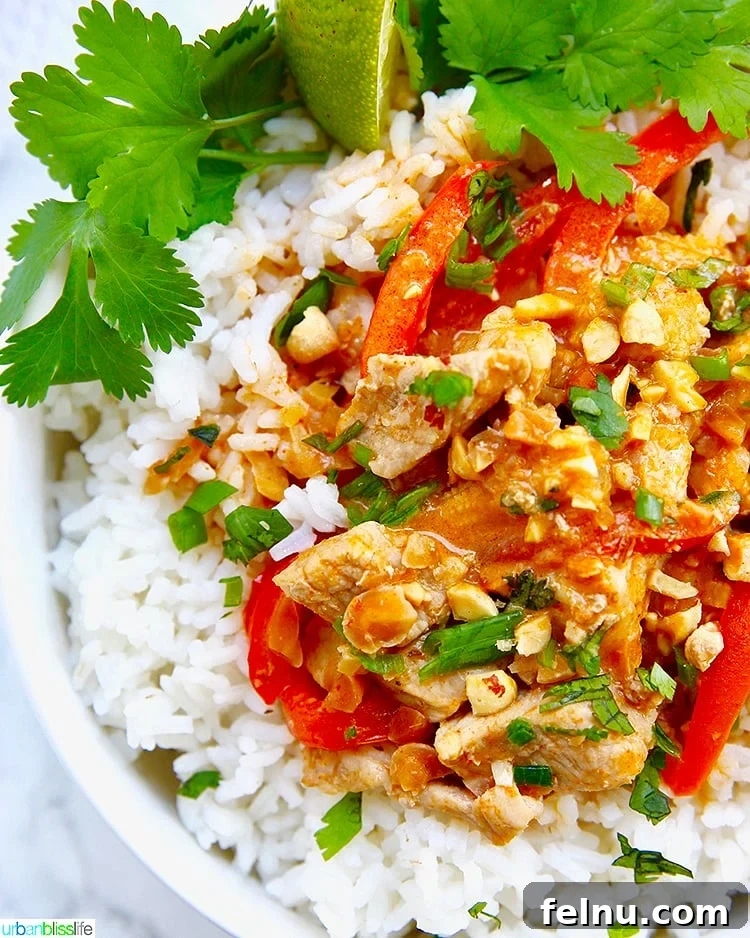 Creamy Thai Peanut Delight 2 close up of thai peanut curry recipe