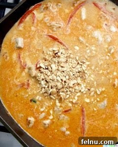 Creamy Thai Peanut Delight 10 adding peanuts to the thai peanut curry