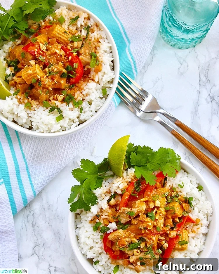 Creamy Thai Peanut Delight 11 finished thai peanut curry recipe plated
