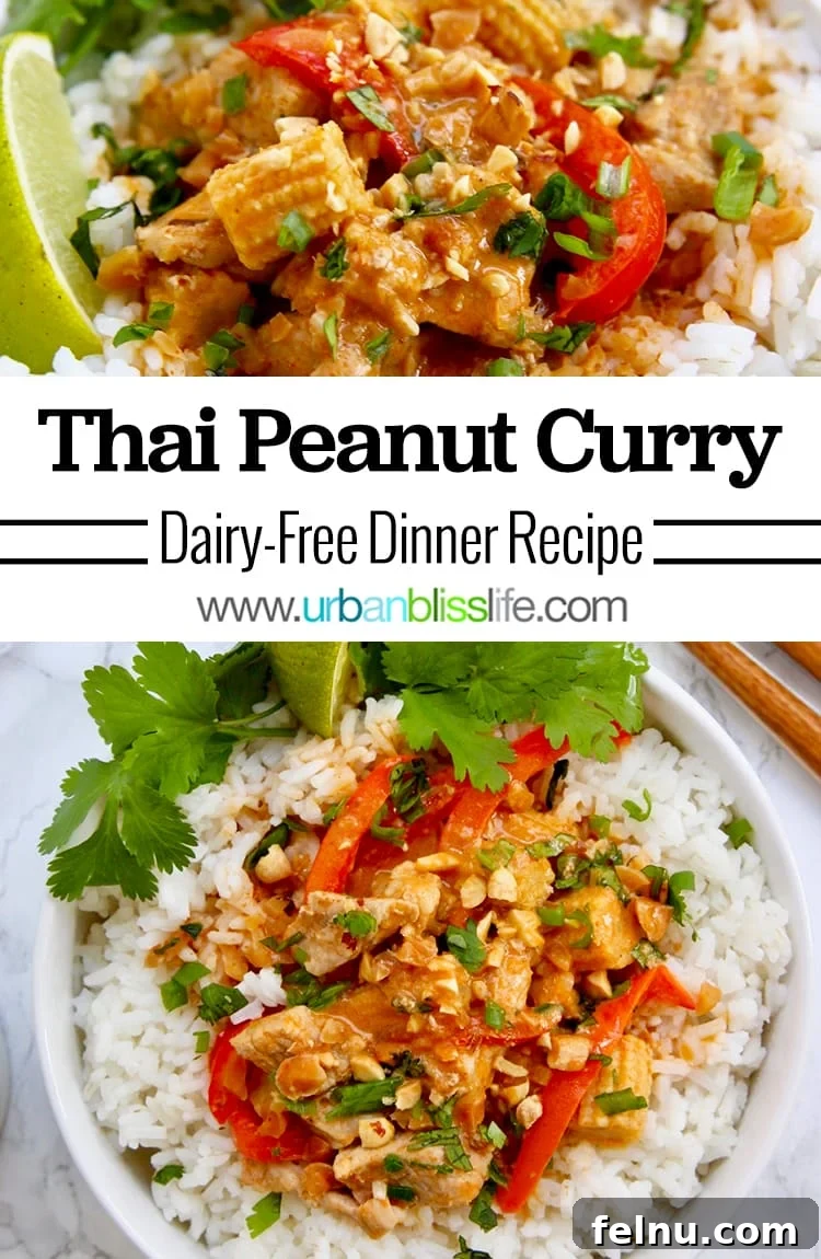 Creamy Thai Peanut Delight 12 Thai Peanut Curry main image