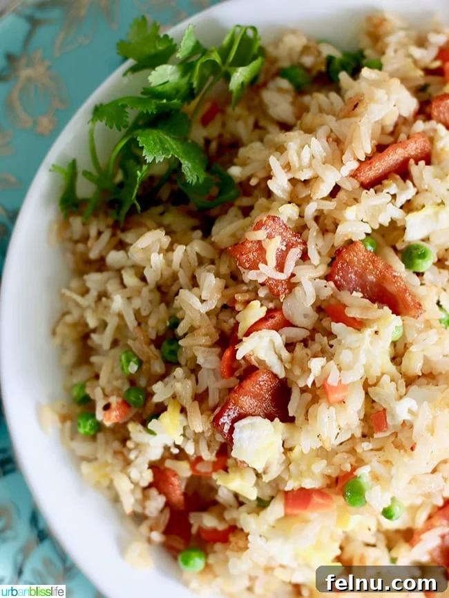 Creamy Thai Peanut Delight 14 Filipino Fried Rice