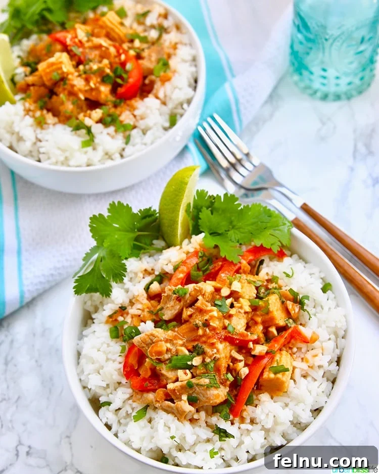 Creamy Thai Peanut Delight 3 Thai Peanut Curry two dishes