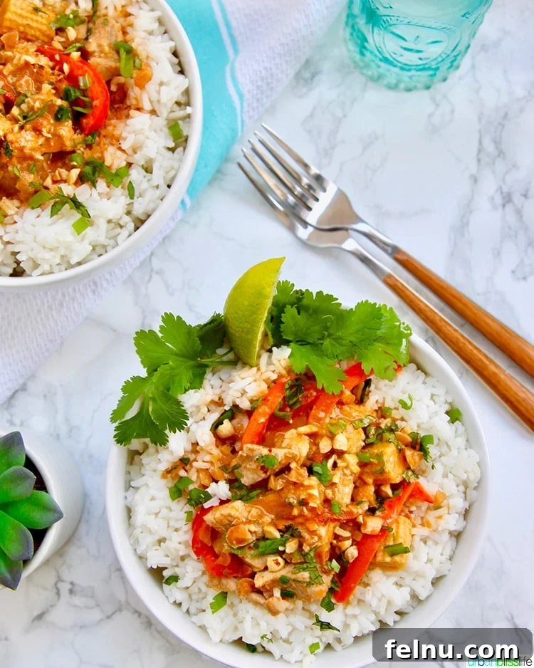 Creamy Thai Peanut Delight 6 Thai Peanut Curry recipe plated