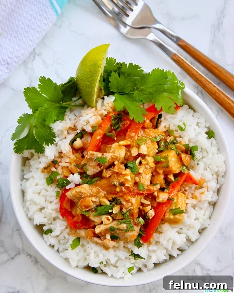Creamy Thai Peanut Delight 7 Thai Peanut Curry recipe single