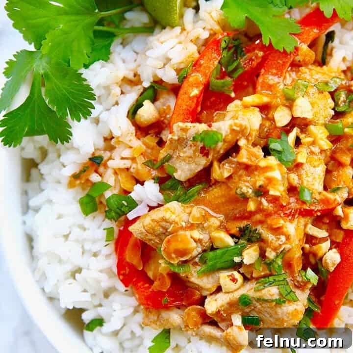 close up of thai peanut curry recipe