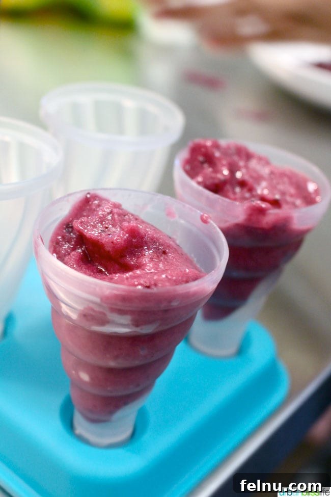 Oregon Fruit Products Popsicles