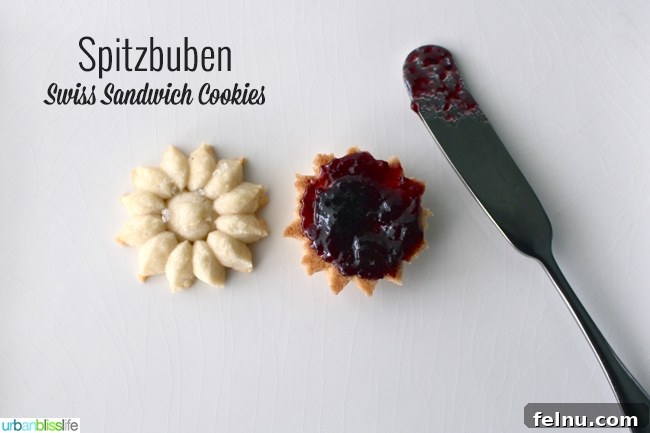 Swiss Jam Blossom Cookies 2 Spitzbuben Cookies with jam filling