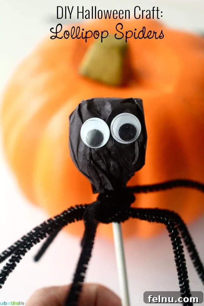 DIY Halloween Craft Googly Eye Spider