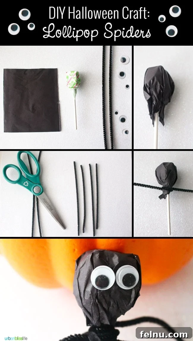 DIY Halloween Craft Googly Eye Spider - Step-by-Step